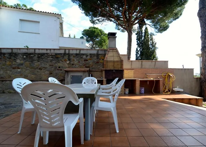 Museu Baixos *